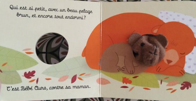 Bébé Ours