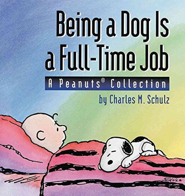 Being a dog is a full time job