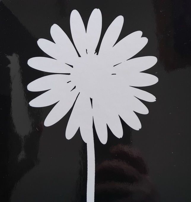 Blanc sur noir