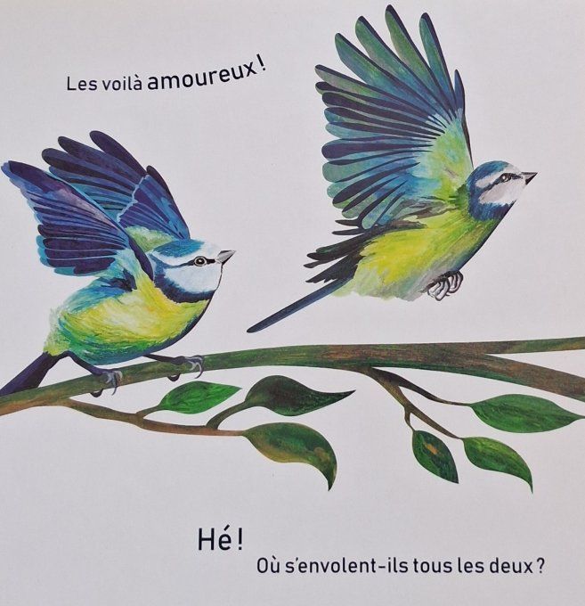 Bleu jardin