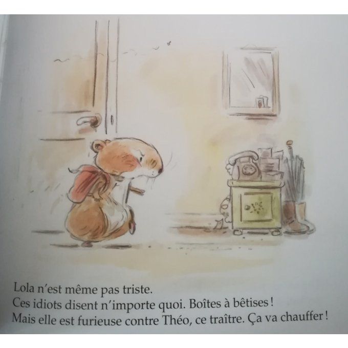 Boîtes à bonheurs