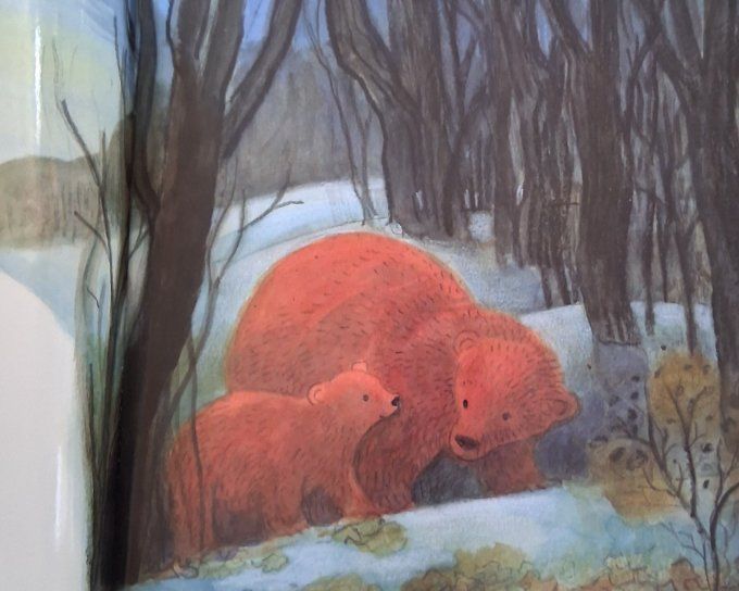 Bonne nuit, petit ours !