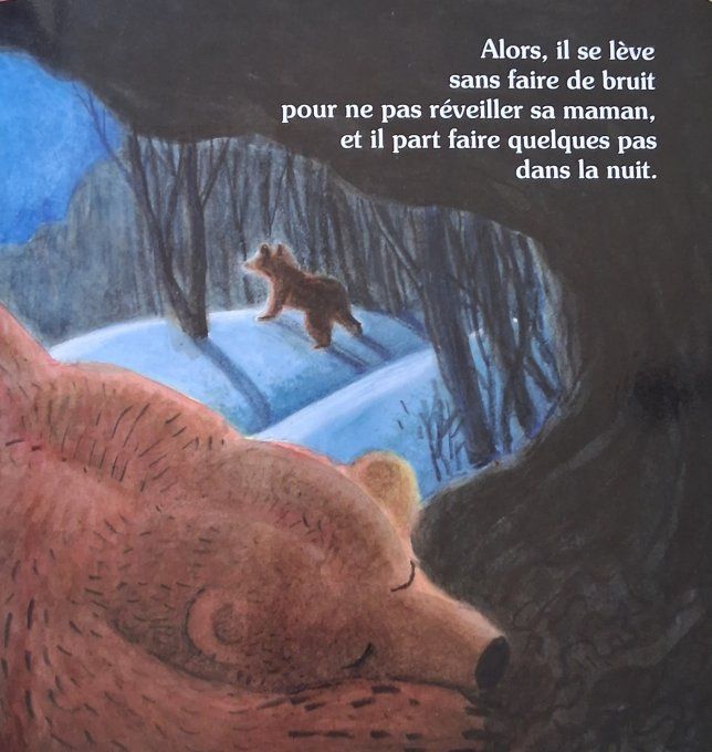 Bonne nuit, petit ours !