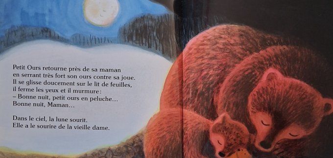 Bonne nuit, petit ours !
