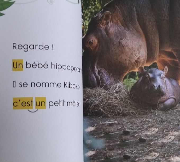 Une saison au zoo bravo Kiboko