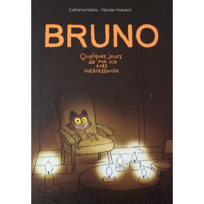 Bruno, quelques jours de ma vie très intéressante