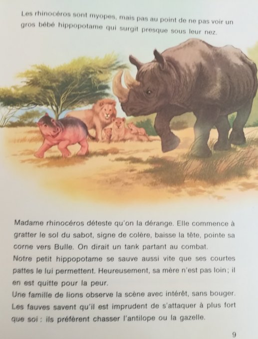 Bulle l'hippopotame