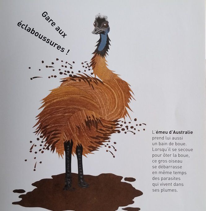 C'est l'heure de se laver
