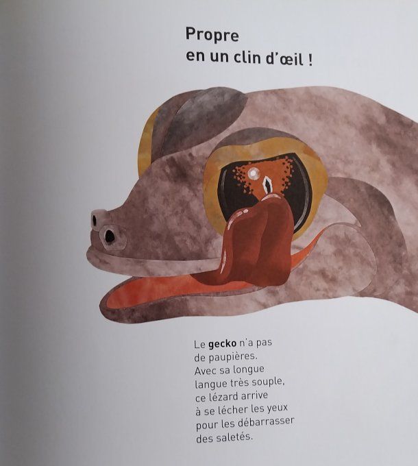 C'est l'heure de se laver