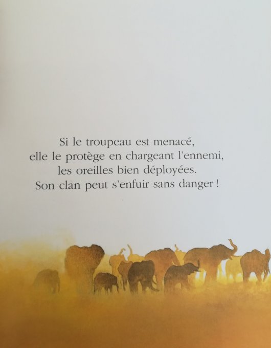 cache-cache avec l'éléphant