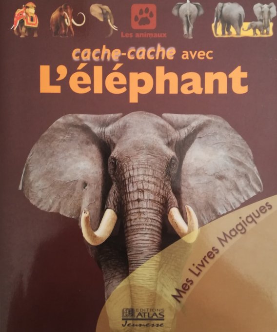 cache-cache avec l'éléphant