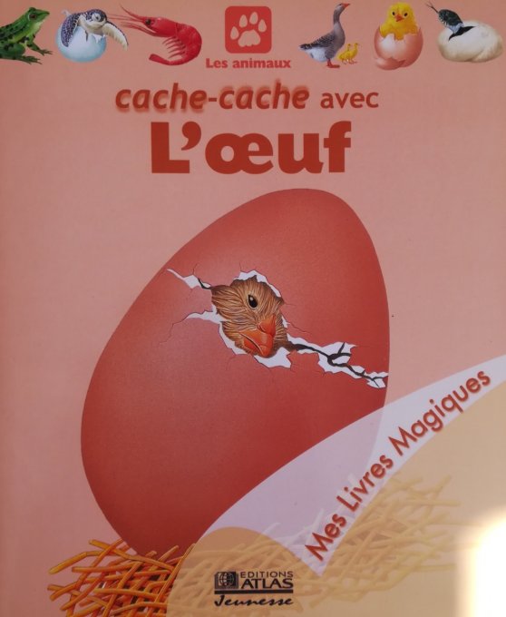 Cache-cache avec l'oeuf