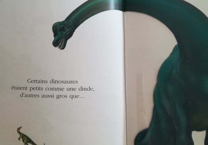 Cache-cache avec le dinosaure