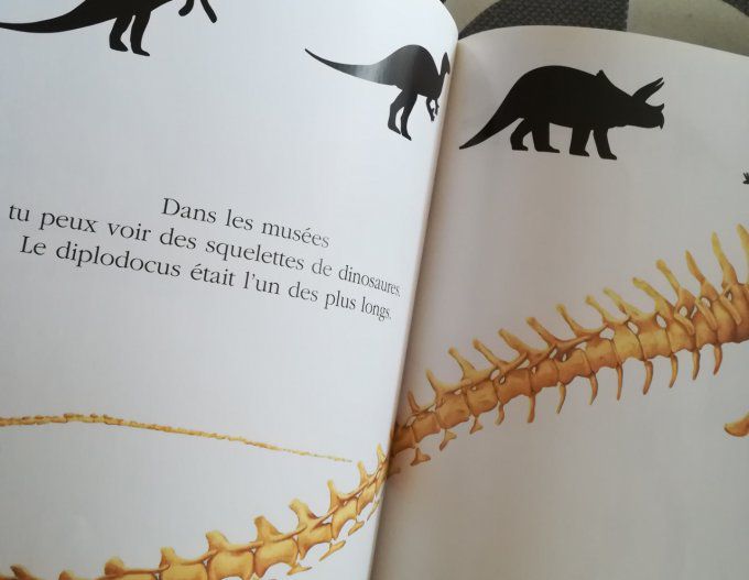 Cache-cache avec le dinosaure