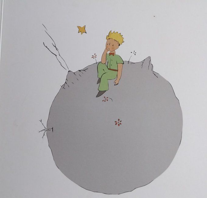 Cache-cache Petit Prince