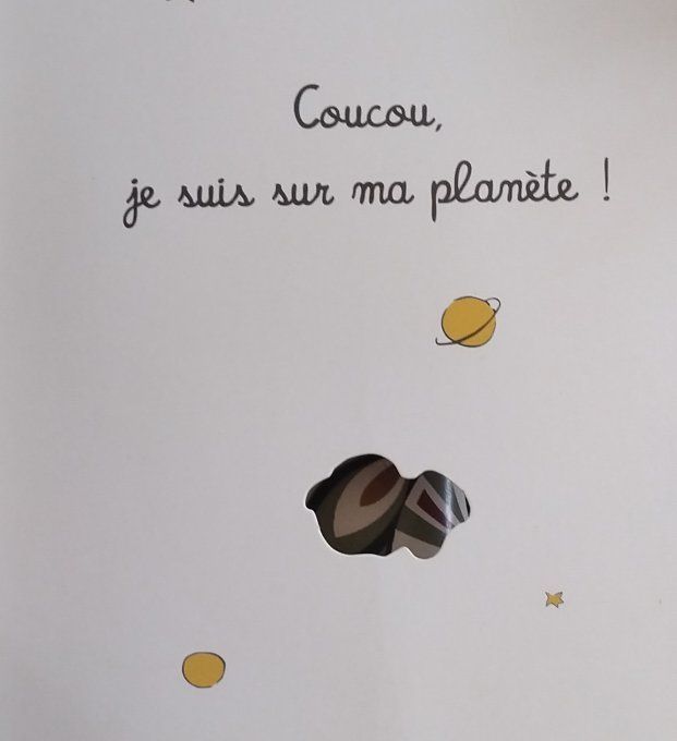 Cache-cache Petit Prince