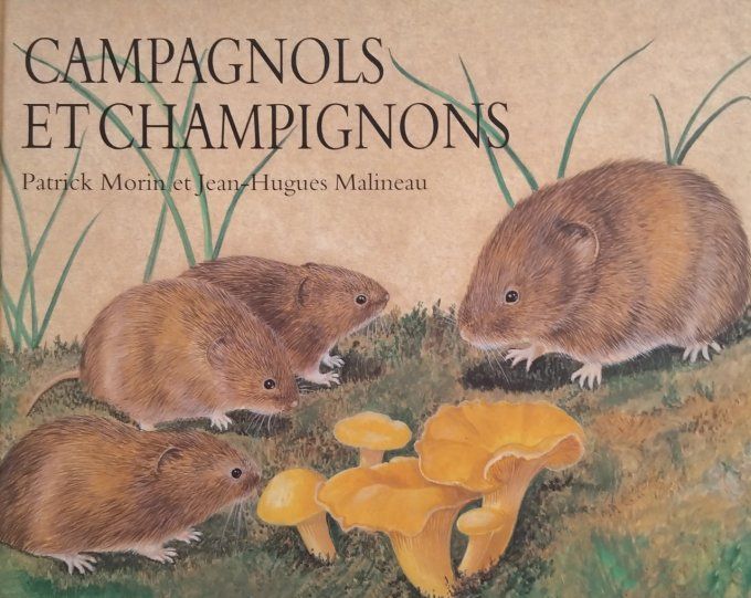 Campagnols et champignons