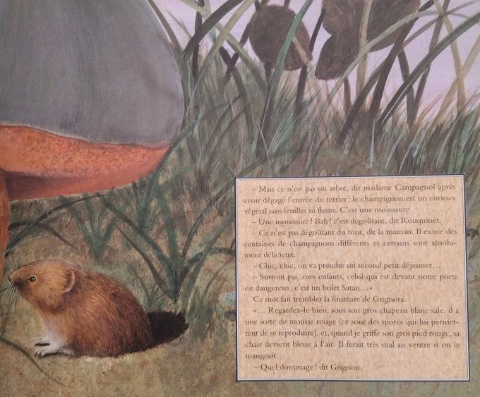 Campagnols et champignons