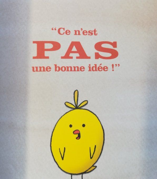 Ce n'est pas une bonne idée