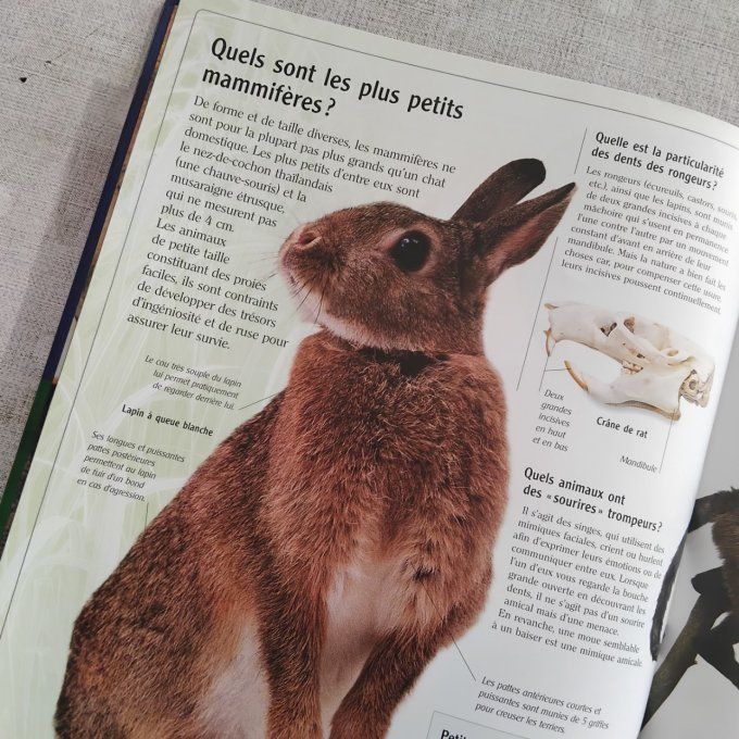 Ces animaux qui nous étonnent
