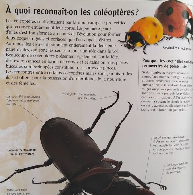 Ces animaux qui nous étonnent