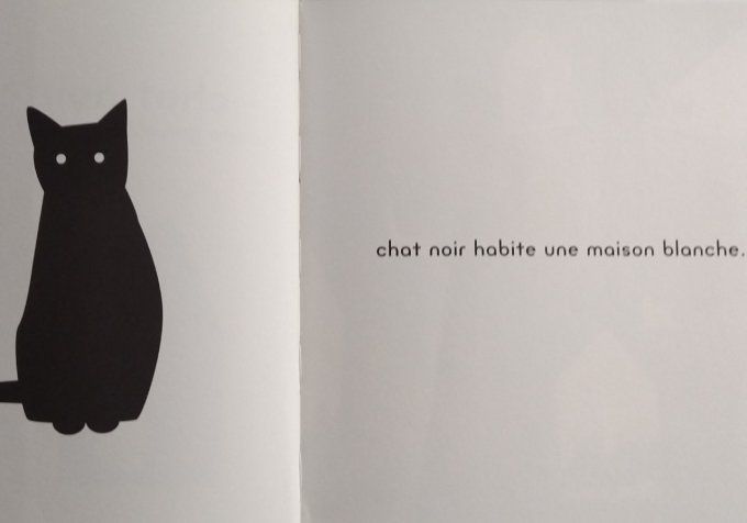 Chat noir chat blanc