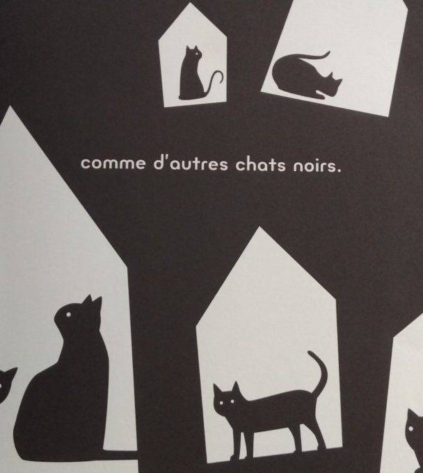 Chat noir chat blanc