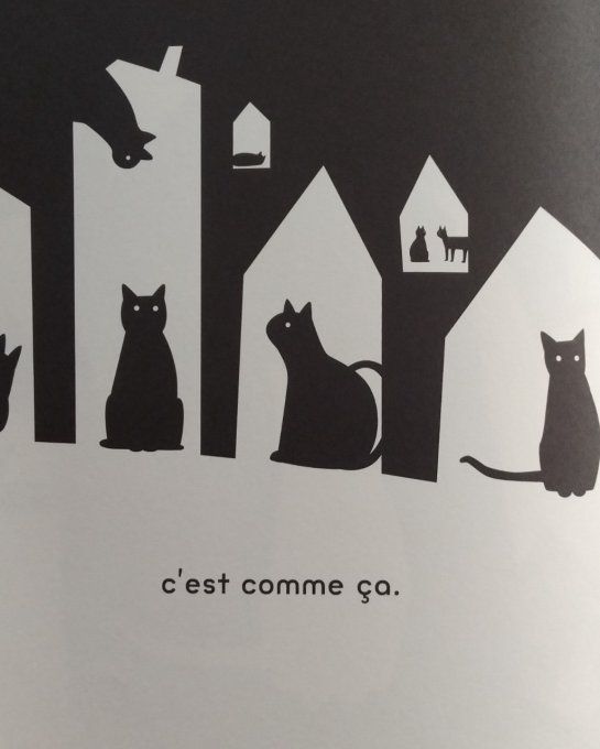 Chat noir chat blanc