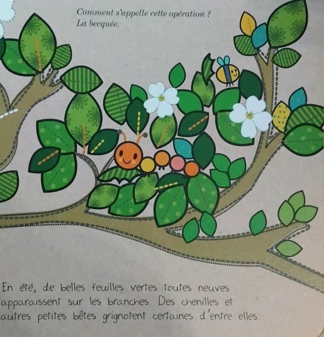 Cher arbre, graine d'écolo