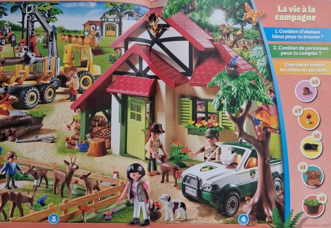 Cherche et trouve playmobil