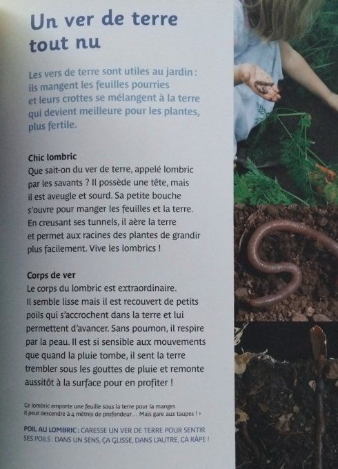 Cherchons les petites bêtes, découvertes et activités du jardin