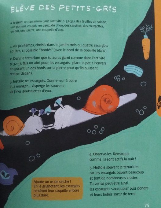 Cherchons les petites bêtes, découvertes et activités du jardin