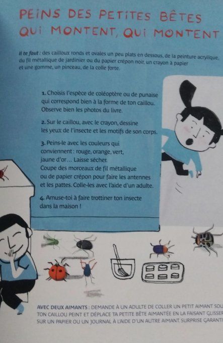 Cherchons les petites bêtes, découvertes et activités du jardin