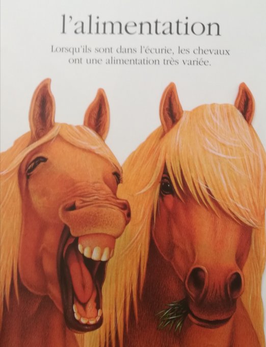 Chevaux et poneys