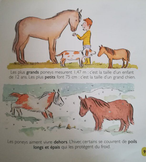 Chevaux et Poneys, mes petites encyclopédies Larousse