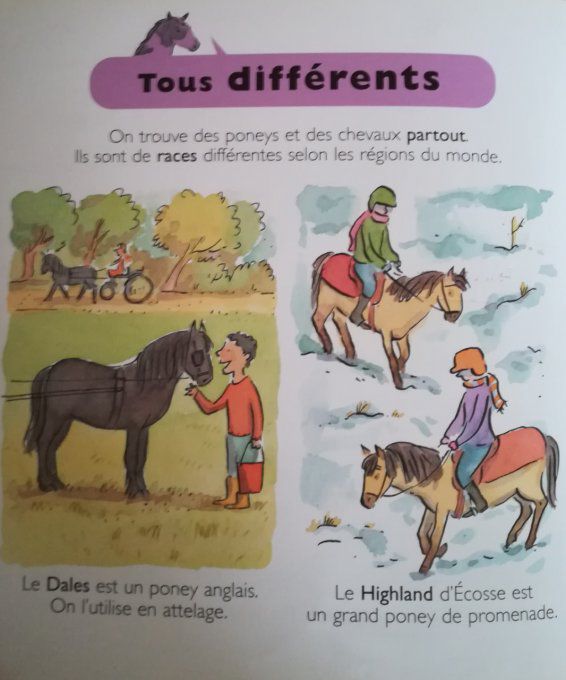 Chevaux et Poneys, mes petites encyclopédies Larousse