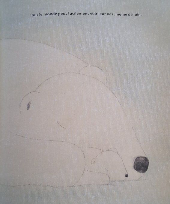 Coda petit ours blanc