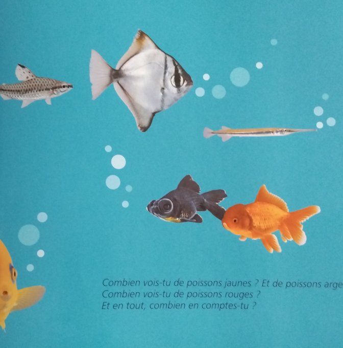 Compter