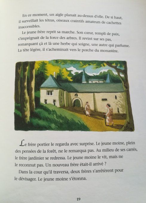 Contes en forêt