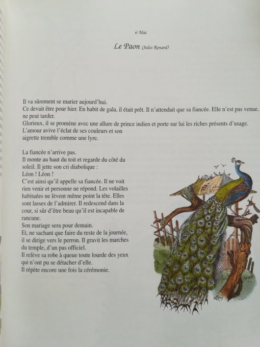 contes merveilleux