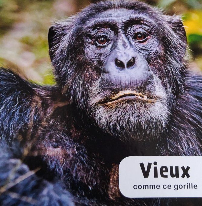 Mon imagier photo découvertes contraires