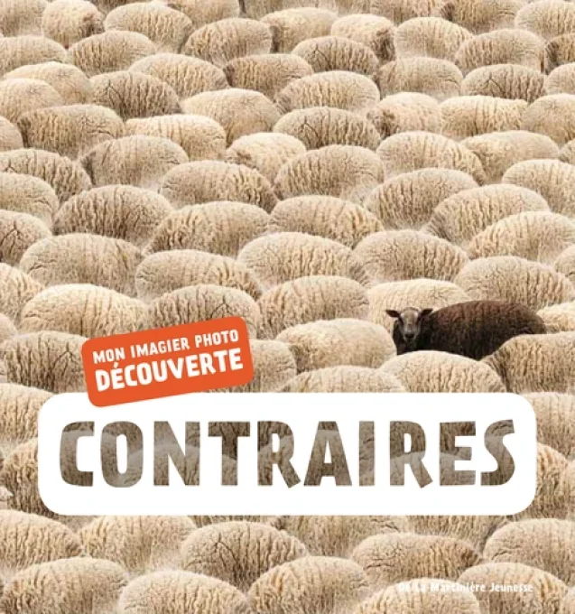 Mon imagier photo découvertes contraires