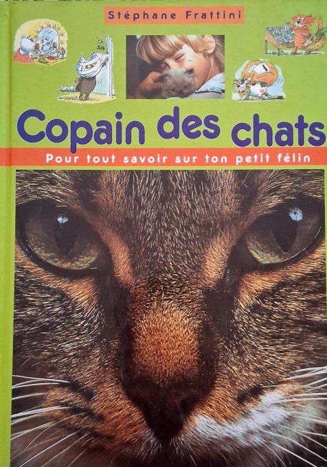 Copain des chats