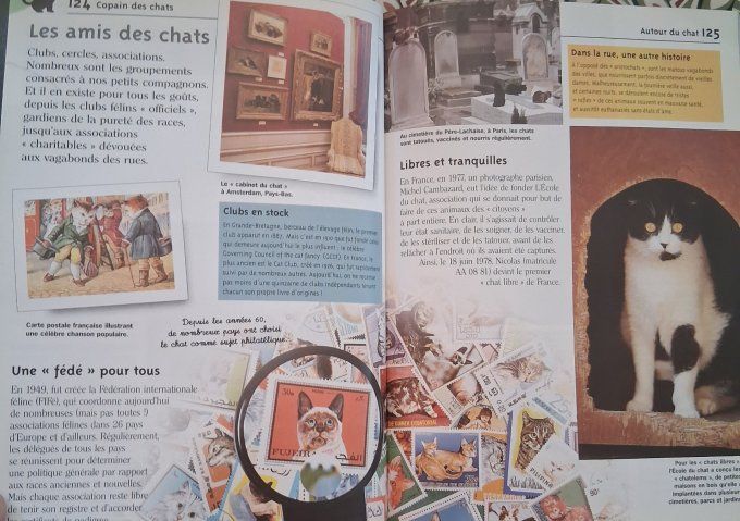 Copain des chats