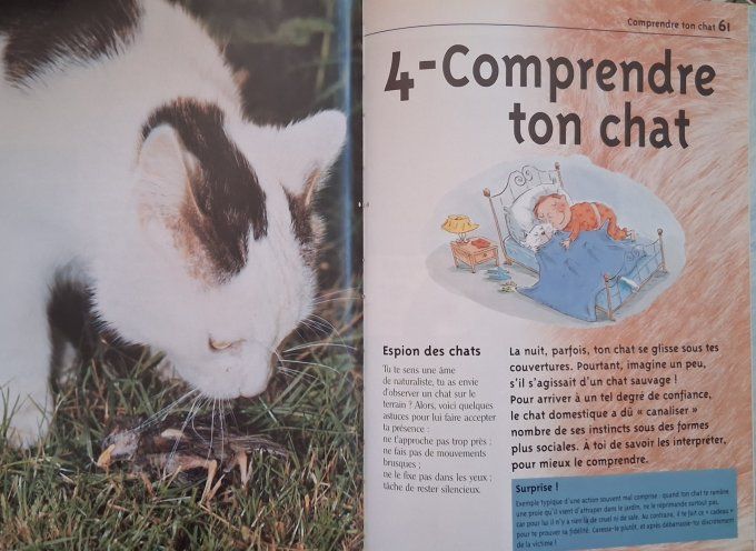 Copain des chats