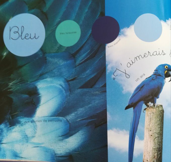 Couleurs de la nature