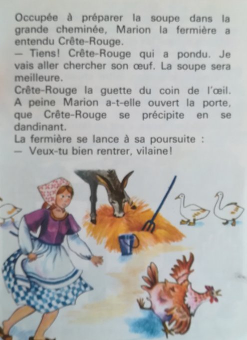 Crête rouge la peureuse