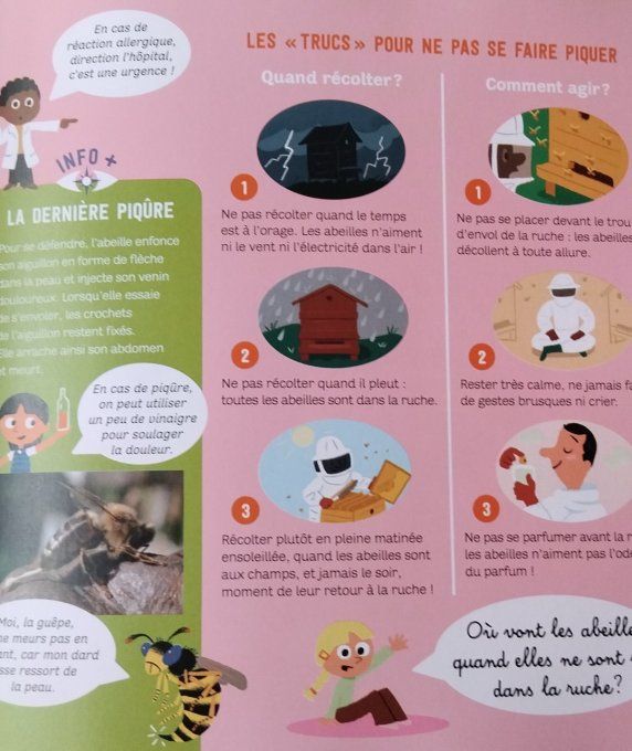 D'où vient le miel de ma tartine ?