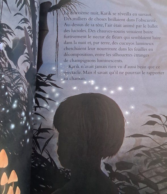 Dans la forêt vierge