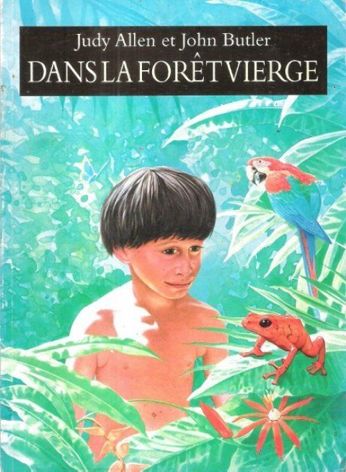 Dans la forêt vierge